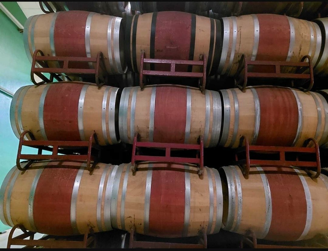 Thùng Rượu Gỗ Sồi Cũ - Bí quyết dùng lại độc đáo mang lại giá trị kinh tế và thẩm mỹ cao