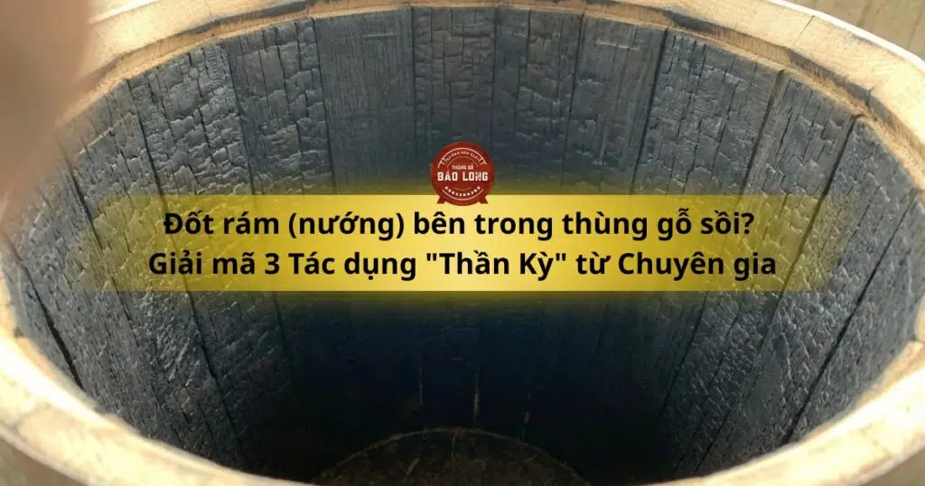 Dot-ram-nuong-ben-trong-thung-go-soi-Giai-ma-3-Tac-dung-Than-Ky-tu-Chuyen-gia